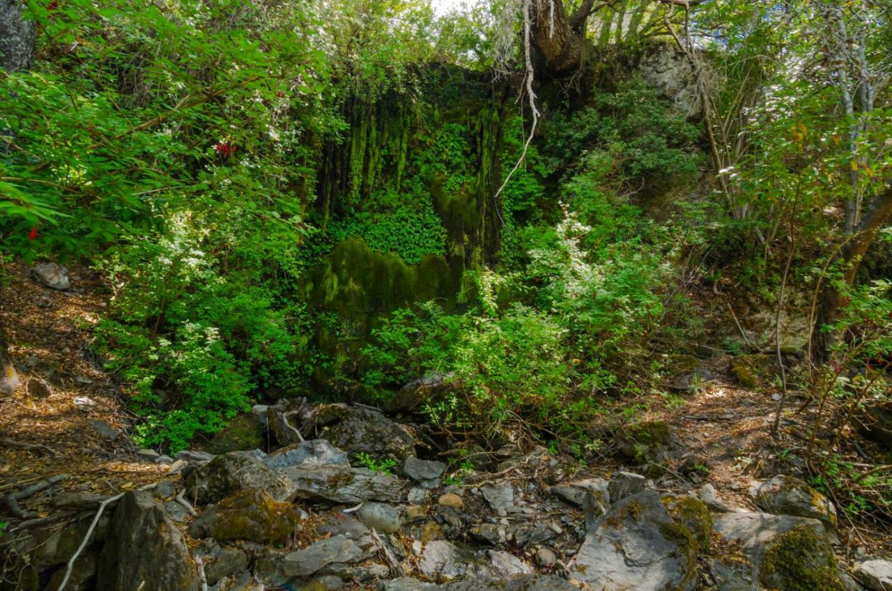 Гостьовий будинок Peninsula Bahia Catalina Пуерто-Гуадаль Екстер'єр фото